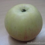Apple Day 150x150 Wordless Wednesday #11   Kad Raya