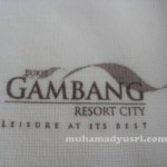 BGRC1 150x150 Lagak Puteri Kembar di Taman Permainan